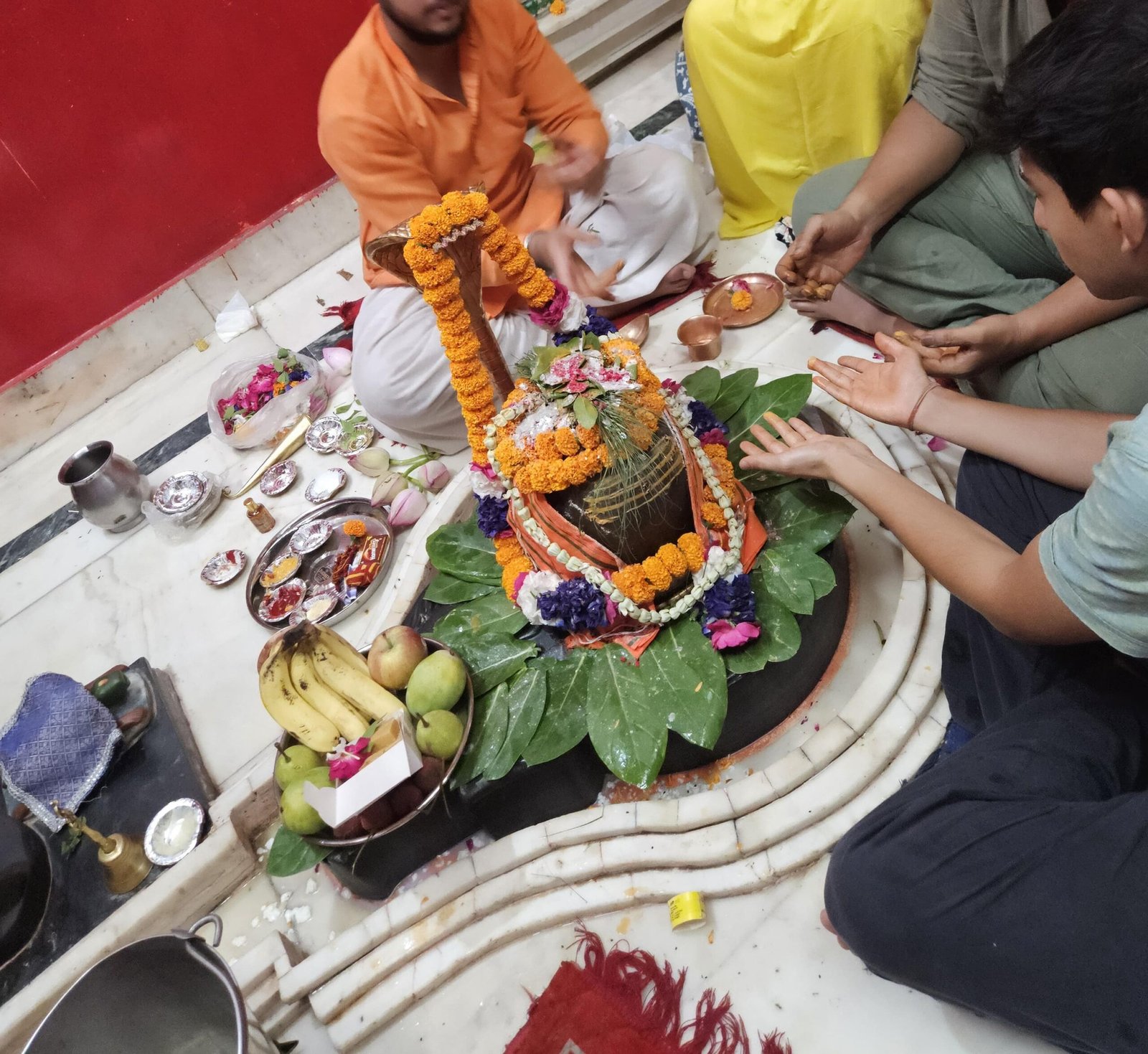 Rudrabhishek Puja at Neeleshwar Mahadev Temple, Haridwar - Image 6