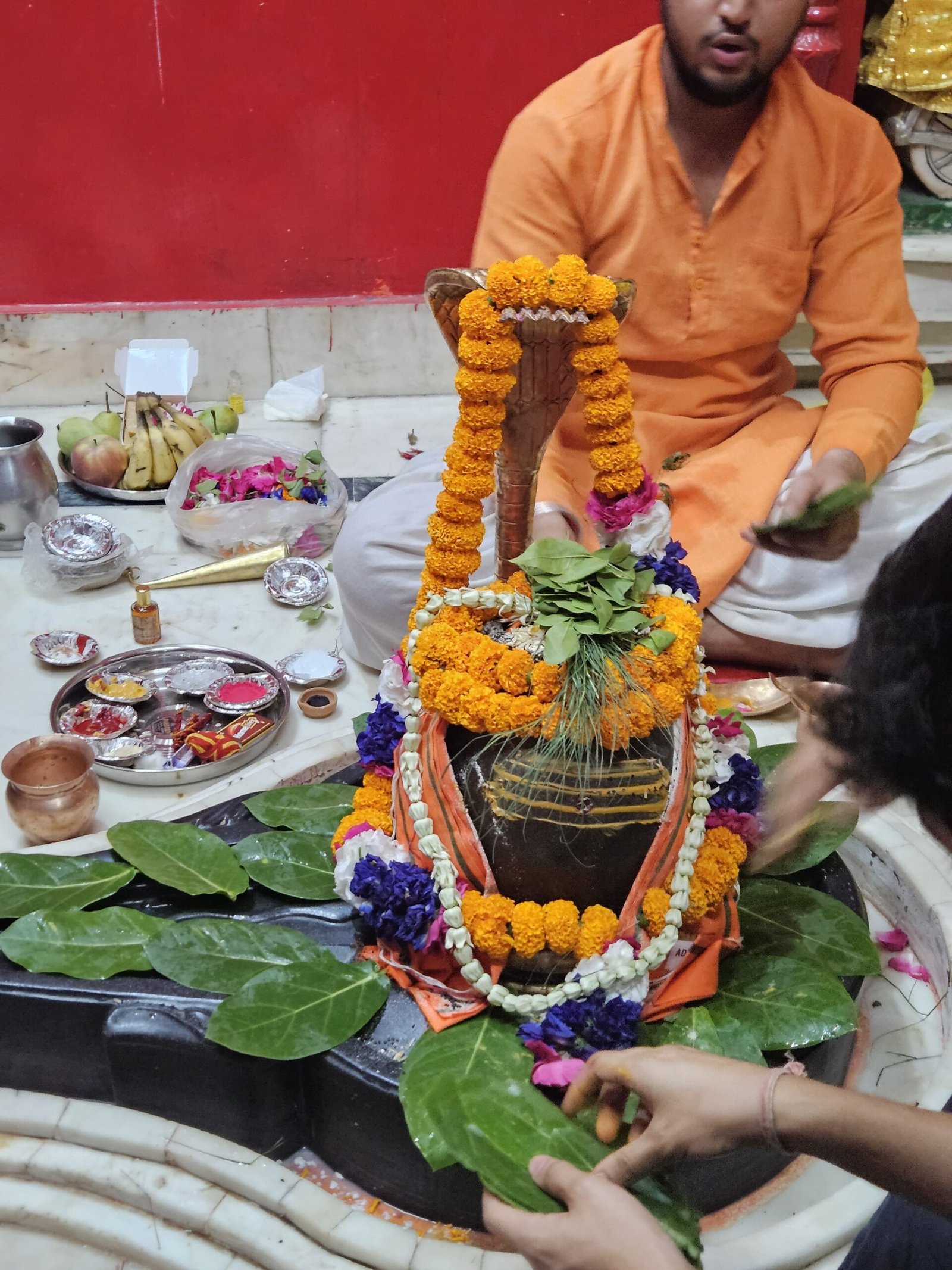 Rudrabhishek Puja at Neeleshwar Mahadev Temple, Haridwar - Image 5
