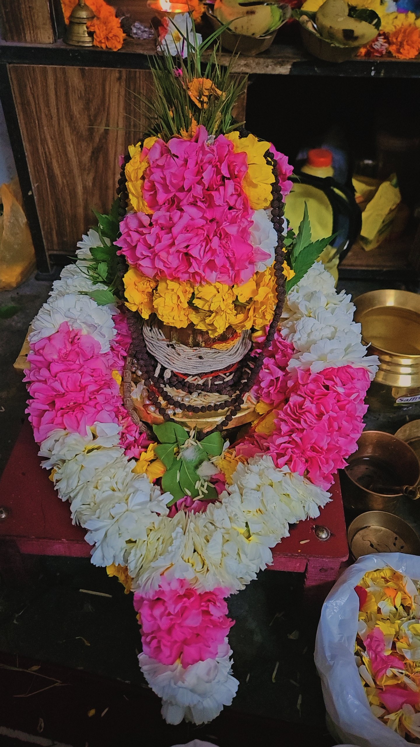 Ati Rudrabhishek & Homa - Image 2