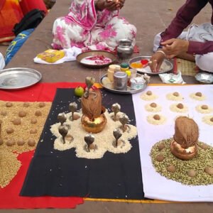 kaal sarp puja 1