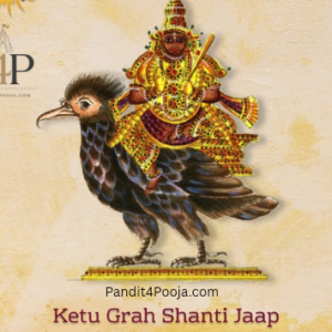 pandit4pooja.com 20260821 144859 0000