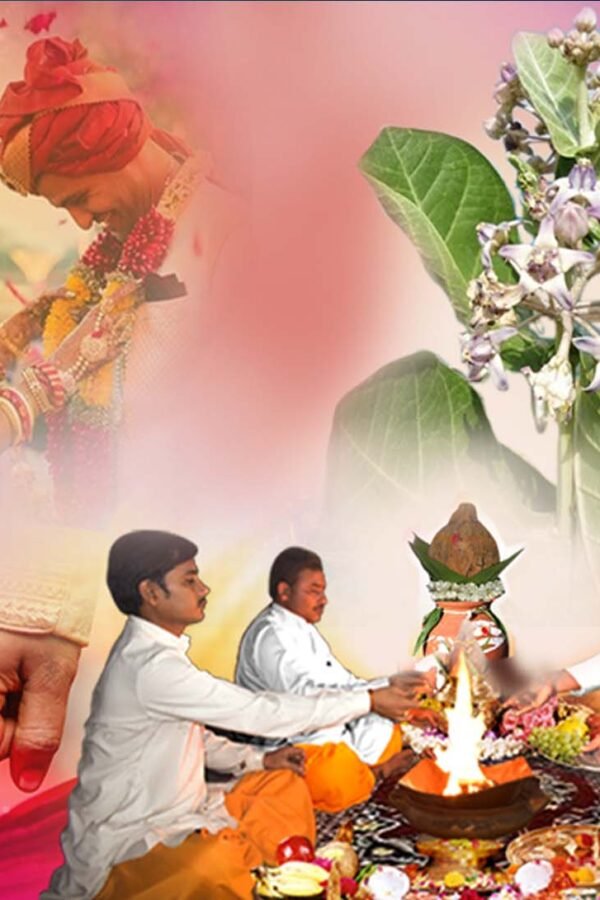 ark vivah