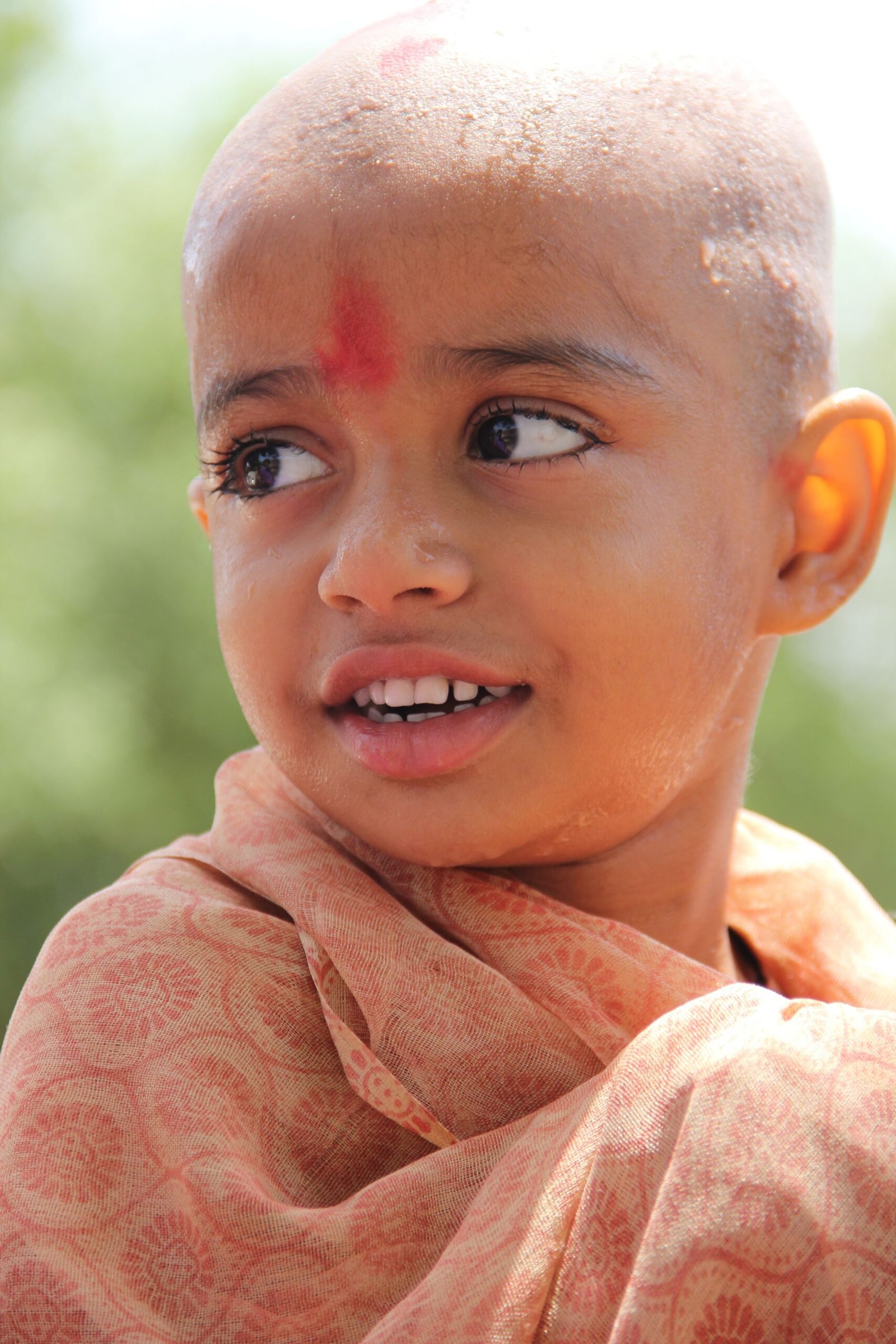 pexels harpal 26612108